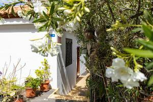 27 Bedroom Building - Chayofa (0)