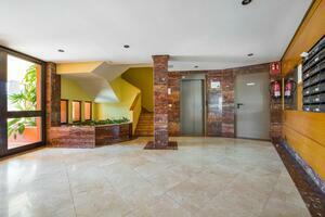 1 Bedroom Apartment - El Médano - La Tejita - Sotavento II (3)