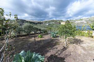 Casa de 3 dormitorios - Guía de Isora (3)