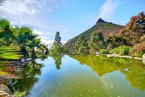 Estate - Vilaflor (1)