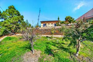 Estate - Vilaflor (1)