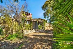 Estate - Vilaflor (2)