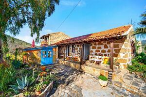 Estate - Vilaflor (3)