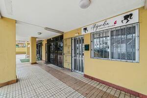 Business - Los Cristianos - El Verodal (1)