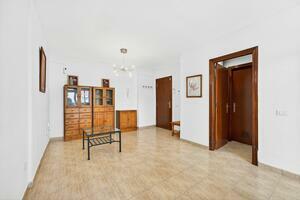 1 Bedroom Apartment - El Madroñal (2)