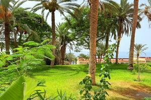 Penthouse mit 3 Schlafzimmern - Marazul (0)