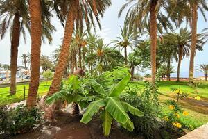 Penthouse mit 3 Schlafzimmern - Marazul (2)