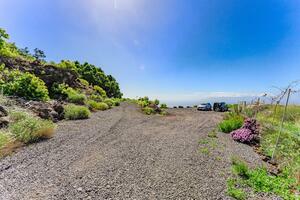 Поместье - Guía de Isora (3)