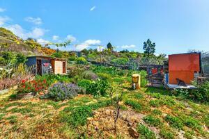 Поместье - Guía de Isora (2)