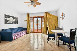 Studio - Los Cristianos - Royal Palm (2)