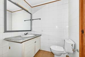 Studio - Los Cristianos - Royal Palm (0)