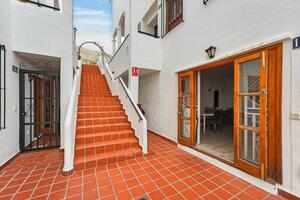 Studio - Los Cristianos - Royal Palm (2)