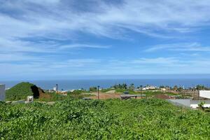 Terrain - La Orotava (1)