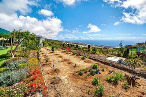 Villa de 2 dormitorios - Guía de Isora (2)