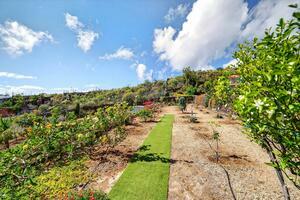 Villa de 2 dormitorios - Guía de Isora (0)