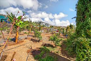 Villa de 2 dormitorios - Guía de Isora (3)