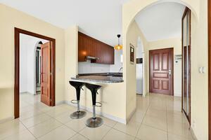 2 Bedroom Penthouse - Roque del Conde (0)