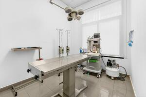 Business - La Camella (1)