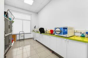 Business - La Camella (2)