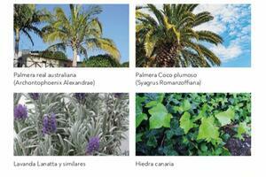 Land - Playa San Juan (1)