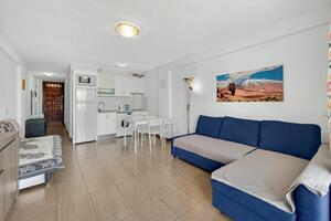 1 Bedroom Penthouse - Torviscas Bajo - Parque Royale (1)