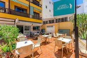 Leasehold - Los Cristianos (2)
