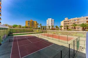 Business - Arona (2)