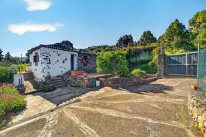 Estate - Icod de Los Vinos (3)
