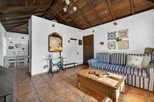 Estate - Icod de Los Vinos (3)