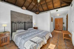 Estate - Icod de Los Vinos (1)