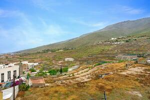 Appartamento di 3 Camere - Adeje - Edificio Sergio (2)