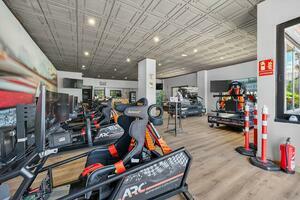 Business - Los Cristianos - Chitamar (2)