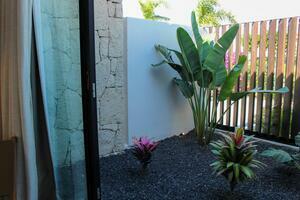 Вилла с 3 спальнями - La Caleta - Royal Hideaway Corales Villas (3)