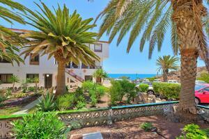 1 Bedroom Apartment - Costa del Silencio - Amarilla Bay (3)