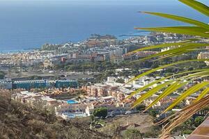 Business - El Madroñal (1)
