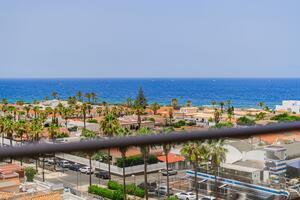 1 Bedroom Apartment - Palm Mar - Cape Salema — photo 16 of 16