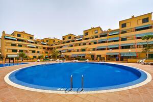 1 Bedroom Apartment - Costa del Silencio - Chasna — photo 11 of 13