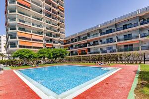 Seafront 1 Bedroom Apartment - Los Cristianos — photo 24 of 26