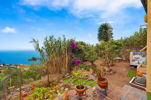 2 Bedroom House - San Juan de La Rambla — photo 40 of 40