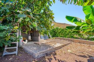 3 Bedroom Villa - Tejina — photo 42 of 49