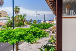 Seafront 1 Bedroom Apartment - La Caleta - Terrazas de La Caleta — photo 13 of 18