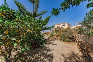 6 Bedroom Villa - San Miguel — photo 29 of 61