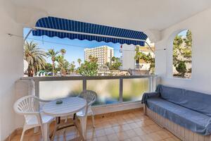 Studio - Playa de Las Américas - Paraiso Royal — photo 2 of 19