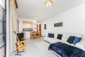 Apartament na ostatnim piętrze budynku z 1 sypialnią - Playa de Las Américas - Colón I — photo 3 of 16