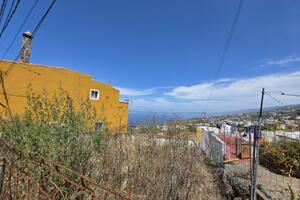 Teren - La Guancha — photo 2 of 13