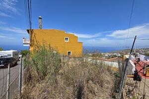 Teren - La Guancha — photo 3 of 13