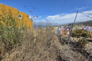 Teren - La Guancha — photo 11 of 13