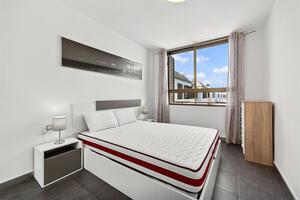 1 Bedroom Apartment - San Eugenio Alto - Caledonia Park — photo 13 of 17