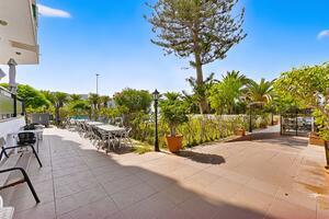 1 Bedroom Apartment - Los Cristianos - Comodoro — photo 16 of 16