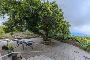 6 Bedroom Villa - La Orotava — photo 8 of 46